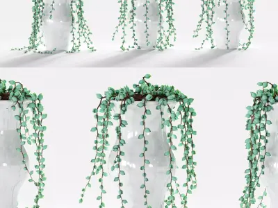 Succulents in pots - 3 models 3D model