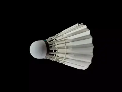 Badminton Shuttlecock 3D model