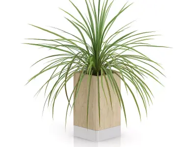 Small Plant in Wooden Pot 3D model