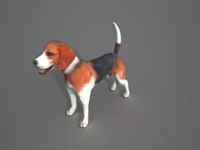 Beagle Dog Low-poly 3D model