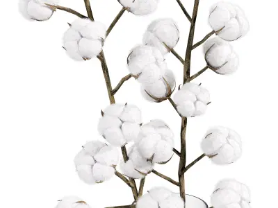  cotton bouquet   3D model