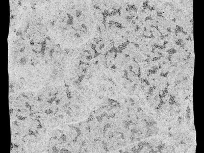 188-RockPanel sandstone rock texture 3D model