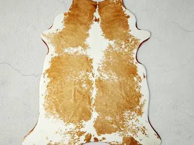 Rugs 3 cowhide rug 3D model