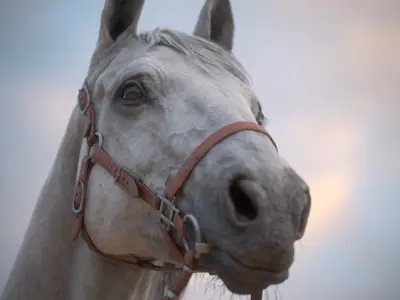 Real-Time Horse Animated and Integrated in Unreal Engine Low-poly 3D model