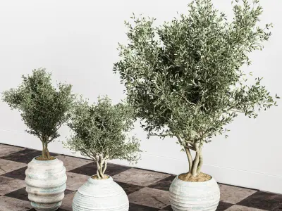 indoor plant stant 44 3D model