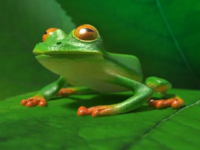 Tree frog Low-poly 3D model