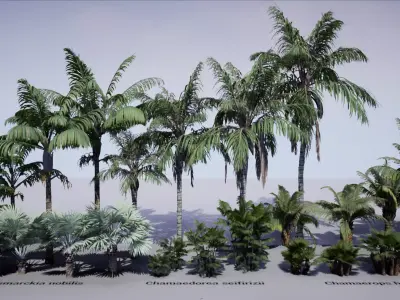 HQ Plants Volume 1 Palms for unreal engine 3D model set of 24 3D model