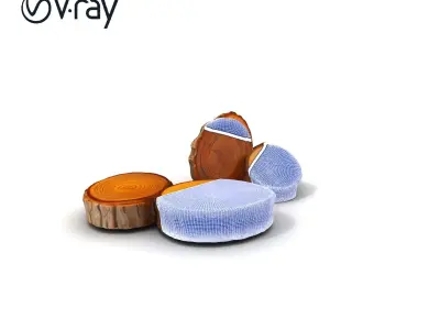 Wood Slice Model Pack with Detailed Textures Low-poly 3D model