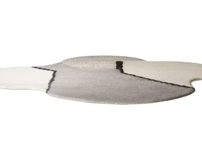 Rug by Studiopepe 3D model