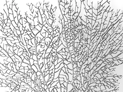 Coral 3D marine decor 3D model