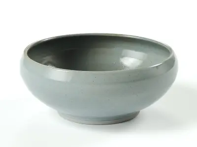 polypasta - pottery west - ramen bowl - powder 3D model