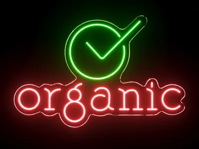 Organic Neon Sign 3D model