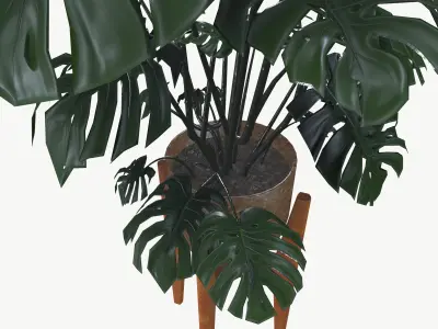 Flower Pot 3D model