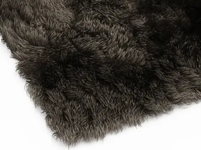 Carpet Fur Shaggi 01 3D model