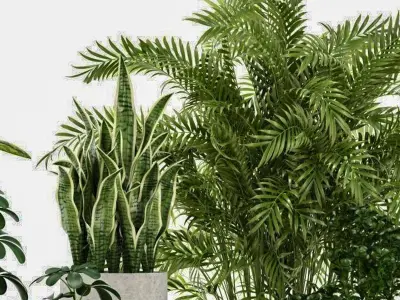 plant potted green Modern combination 3D model