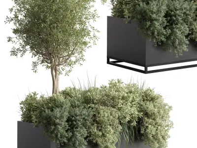 Box Plants on Stand collection of houseplants indoor metal vase 3D model