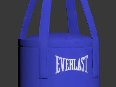 Boxing Bag 3D model