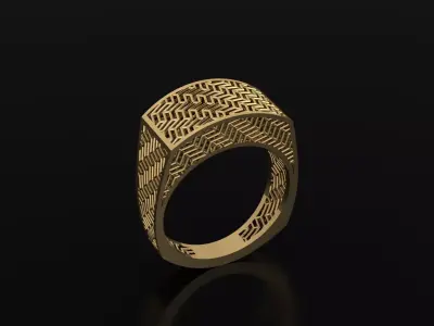 ring fusion 3D model