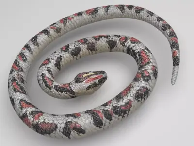 Rubber Snake 3D model