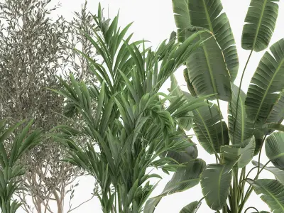 Houseplants in a flowerpot for the interior 1034 3D model