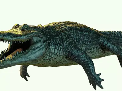 Alligator crocodile Low-poly 3D model