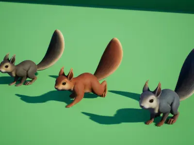 Squirrel squirrels Low-poly 3D model