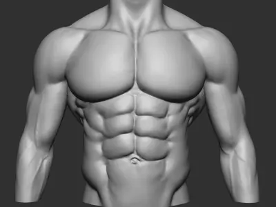 fitness bodybuilder  3D print model