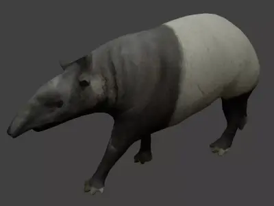 Tapir Low-poly 3D model