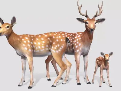 DEER FAMILY Low-poly 3D model