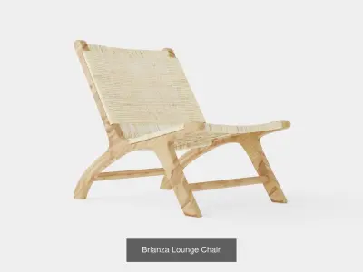 Collection of Lounge Chairs - 4 Models