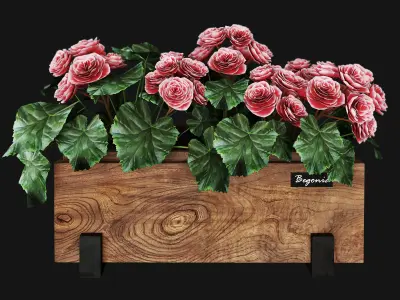 Begonia planter 3D model