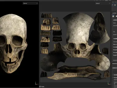 Next Gen Skeleton Real Time Game Ready Animated Low-poly 3D model