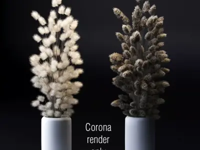 A bouquet of dried flowers - 2 models 3D model