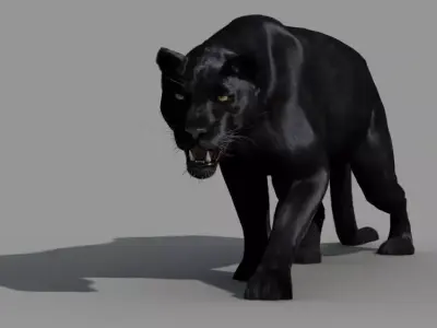 Panther-animations panther 3D model