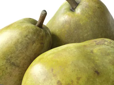 Nested bowl with mango and pears 3D model