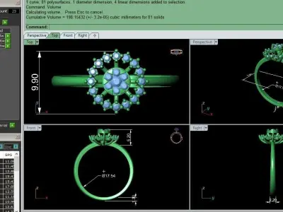 PRESSURE SETTING RING 19 3D print model