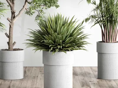 indoor plant set 442 plant tree palm grass bush Low-poly 3D model