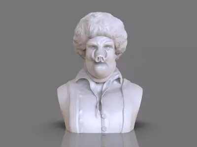 Wookalar Bust 3D print model