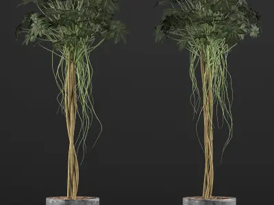 Plants Collection 90 3D model