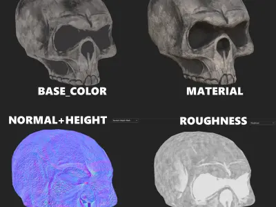 Realistic Human Skull Game-Ready Low-Poly PBR 3D Model Low-poly 3D model
