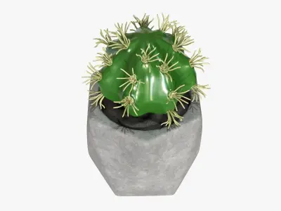 Potted plant decorative 09 3D model