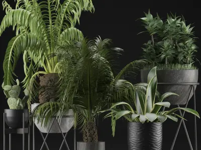 Plants Collection 22 3D model