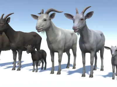 Goat family Low-poly 3D model