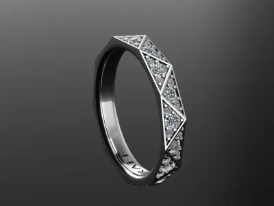 Ring Graff   3D print model