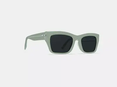 Makai Sunglasses in Aloe Crystal 3D model