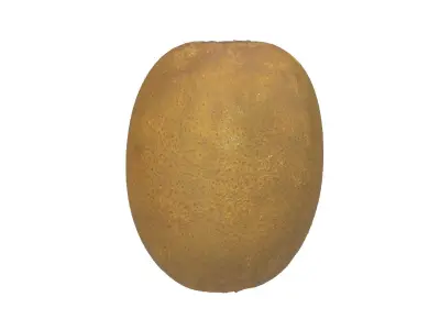 Photorealistic Kiwi 3D Scan 3D model