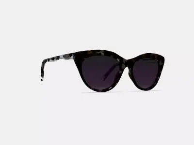 Leta Sunglasses in Black Currant Tortoise 3D model