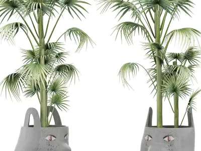 Plants Collection 141 Sabal Minor 3D model