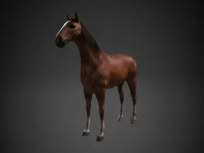 Horse Low-poly 3D model 9