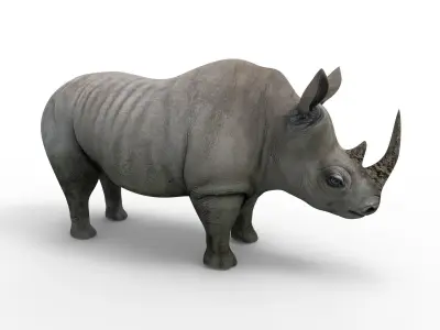 3D rhino rhinoceros realistic Rigged low poly  Low-poly 3D model